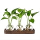 thumbnail image 1 of Estaciones de Propagación Plantas Estación Jarrón Vidrio Terrario Retro con Bandeja Madera Florero Bulbo Decoración Oficina en el Hogar, 1 of 5