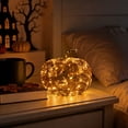 thumbnail image 3 of Twinkling Illuminated Vine Pumpkin - Warm Lighted Natural Woven Vine Pumpkin Tabletop Decor – Rustic Farmhouse Autumn Harvest Mantel & Shelf Seasonal Ornament, 3 of 6