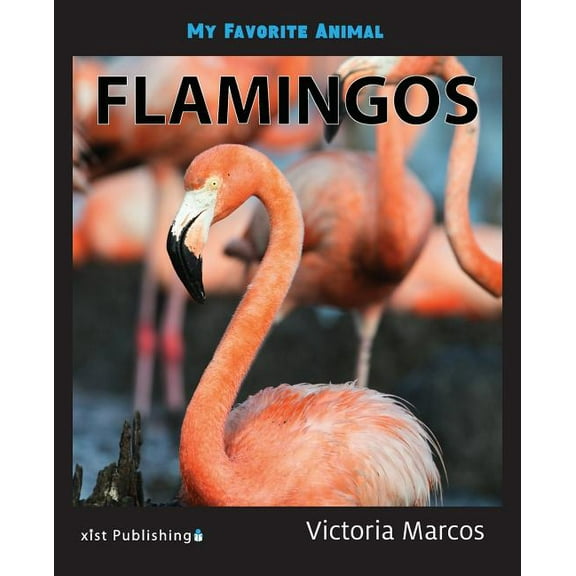 My Favorite Animal: Flamingos (Paperback)