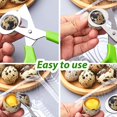 thumbnail image 3 of 4 Piece Quail Egg Scissors, Stainless Steel Quail Egg Scissors, Small Quail Egg Scissors, Quail Egg Opener, Eggshell Opener Kitchen tool, for Home, Restaurant, Kitchen (Green), 3 of 5