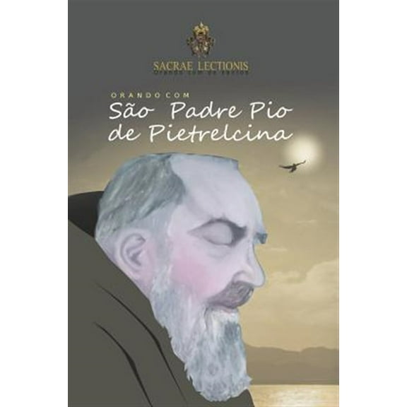 Orando Com OS Santos: Orando Com São Padre Pio de Pietrelcina: Orações E Novena (Paperback)
