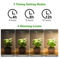 thumbnail image 4 of Plant Grow Light LORDEM LED de espectro completo para plantas de interior, 4 of 5