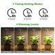 thumbnail image 4 of Plant Grow Light LORDEM LED de espectro completo para plantas de interior, 4 of 5