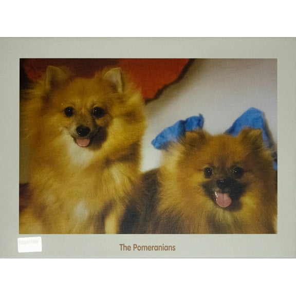 Tomax Jigsaw Puzzle -The Pomeranians (300 Pieces)