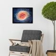thumbnail image 2 of NASA James Webb Telescope MIRI Image of the Ring Nebula Planetary Messier 57 Intricate Details of a Dying Star Formation Celestial Doughnut in Space Art Print Framed Poster Wall Decor 12x16 inch, 2 of 5