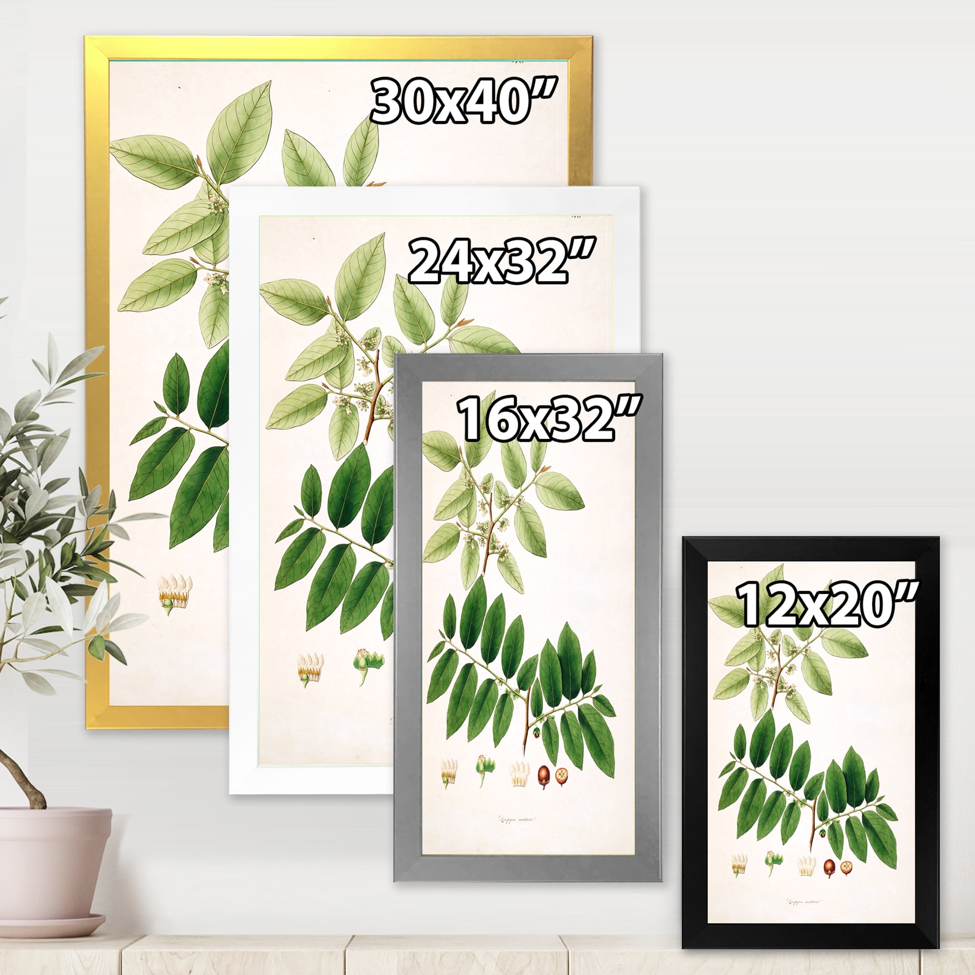 Designart 'Ancient Botanicals XIV' Farmhouse Framed Art Print
