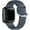 Gray, variant on Band Compatible with Fitbit Versa 2 Watch,Soft Silicone Replacement Strap for Fitbit Versa/Versa Lite/SE Smart Fitness Watch