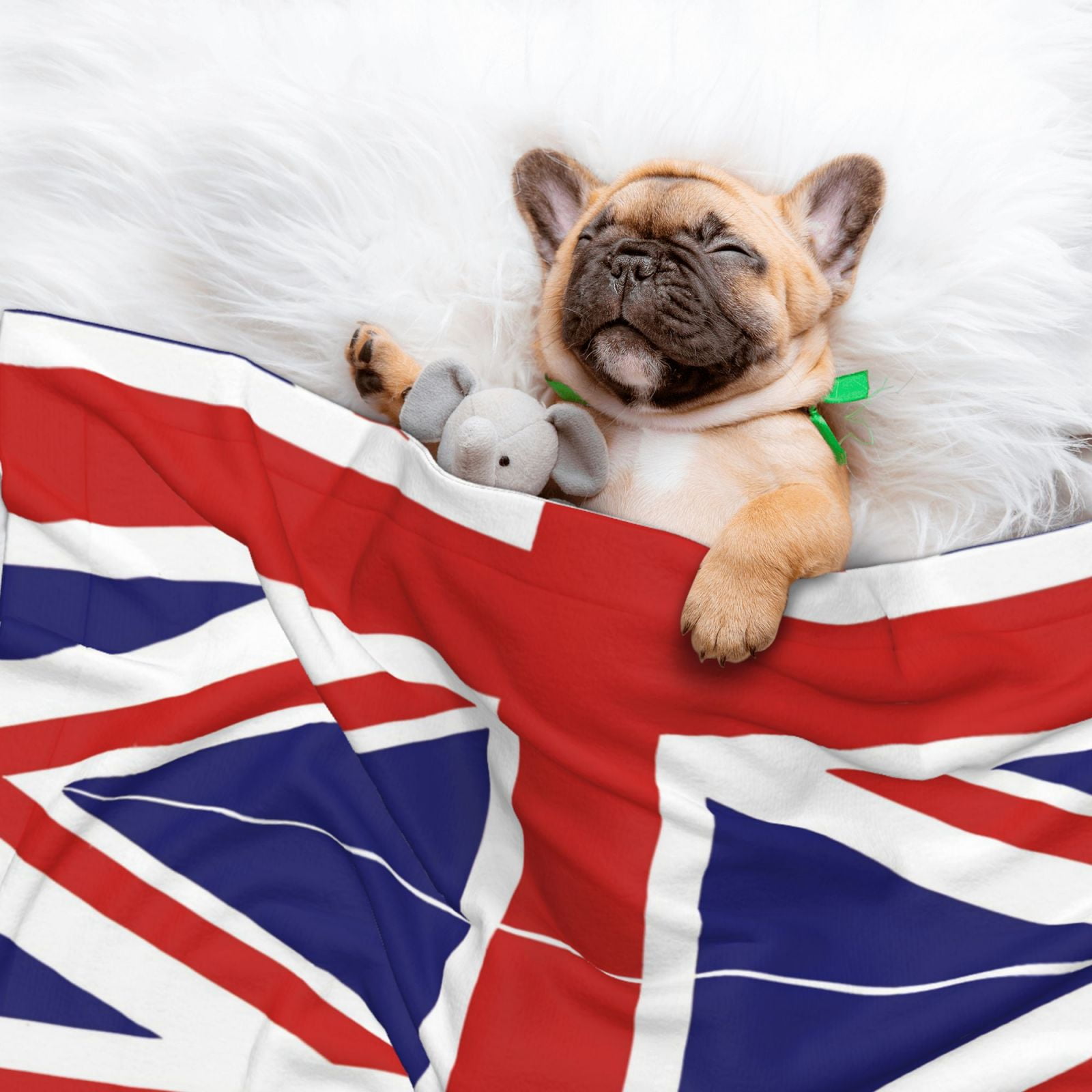 British Flag Britain English England Dog Blanket Soft Warm Flannel Cat Blanket Great Pet Throw for Cats Puppy Small Medium Large Dog