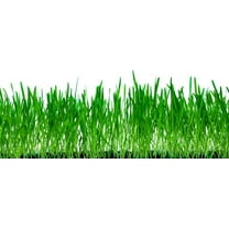 10 Lbs No-Till Winter Rye Cover Crop Seeds - Non-GMO Rye - Deer & Turkey Food Plot Seed - Winter Hardy Cover Crop