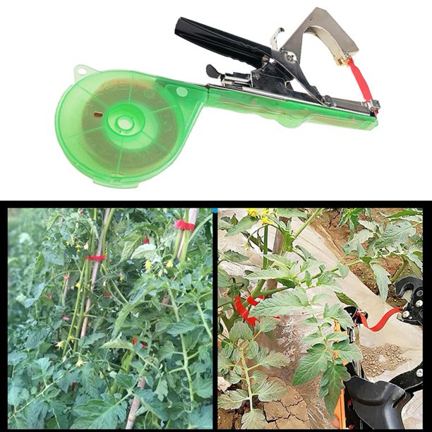 Máquina de atar Uva Tomate Planta Rama Mano Encuadernación Herramientas de jardín (Verde)