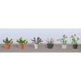 thumbnail image 2 of Flowering Potted Plants Assortment 1, 5/8 (6) Multi-Colored, 2 of 2