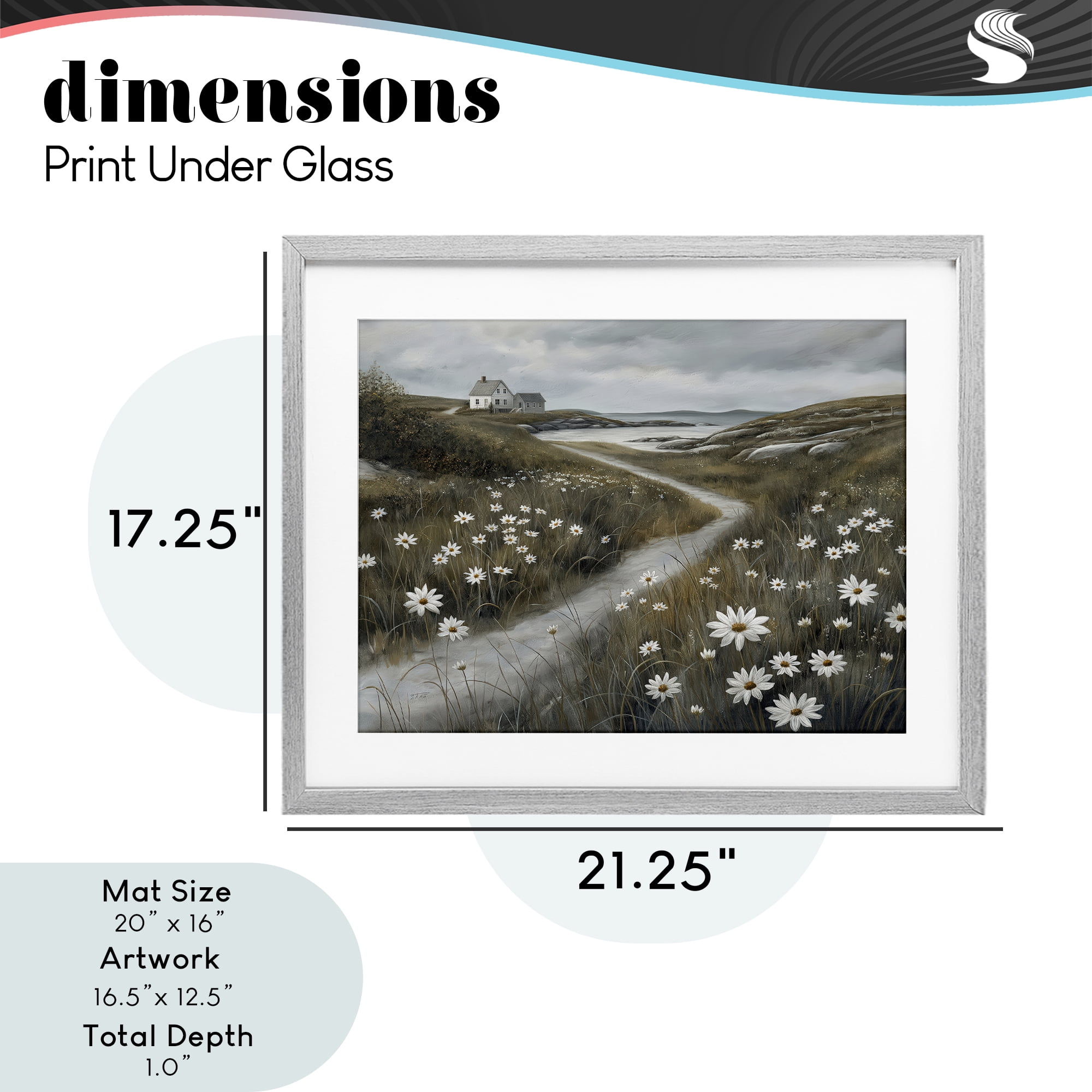 Stupell Industries Daisies Along Coastal Path Gray Framed Print Under Glass, design by Imagine It Images