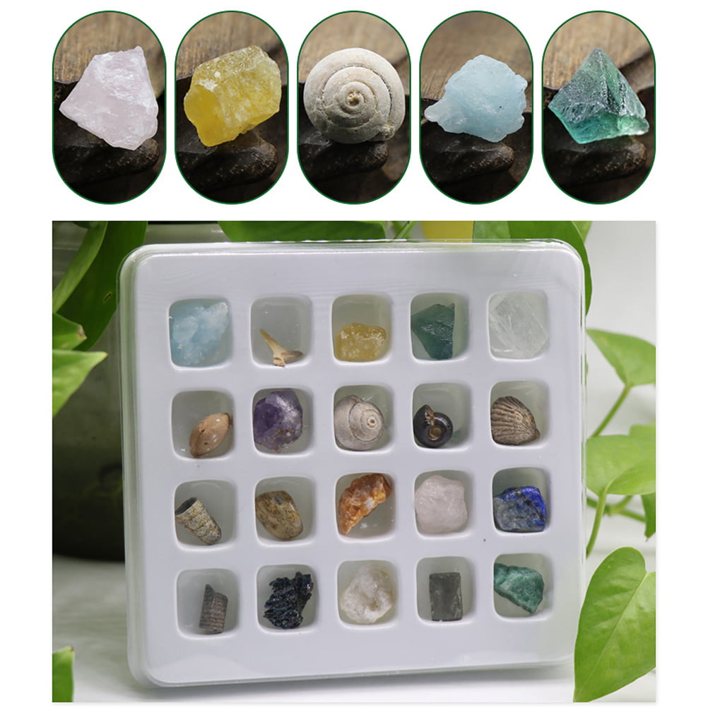 *#WHOLESALE Display Cube Holder Case For Fossils Rocks Minerals Amethyst Agate 