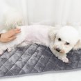 thumbnail image 1 of Coussin de Caisse Lavable Doux et Confortable avec, Fond Coulissant, Multi Usage pour Chiens Chats, 1 of 8