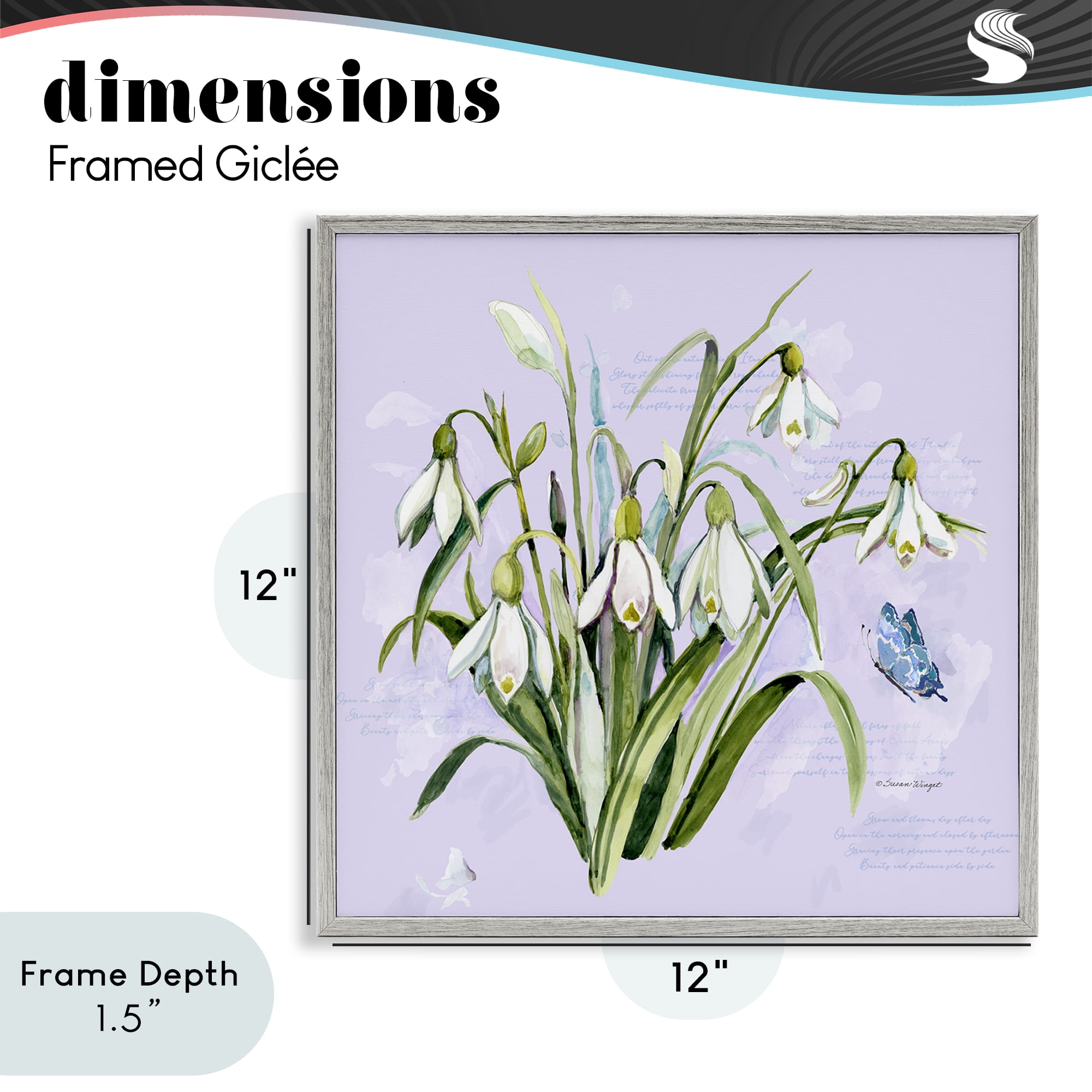 Stupell Industries Snowdrops with Vintage Writings Gray Framed Giclee Art, design by Susan Winget