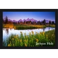 thumbnail image 1 of Jackson Hole, Wyoming - Flower Foreground - Lantern Press Photography (24x16 Giclee Art Print, Gallery Framed, Black Wood), 1 of 1