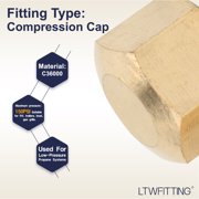 LTWFITTING 1/2 Brass Compression Cap Stop Valve Cap,Brass Compression Fitting(Pack of 10)