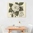 thumbnail image 2 of Orinice Vintage Japanese Snowball Flower Illustration - Classic Botanical Poster, Home and Graden Decoration, Cottagecore Room Decor, Vintage Flower Wall Display Gift,  16x12in, 2 of 6