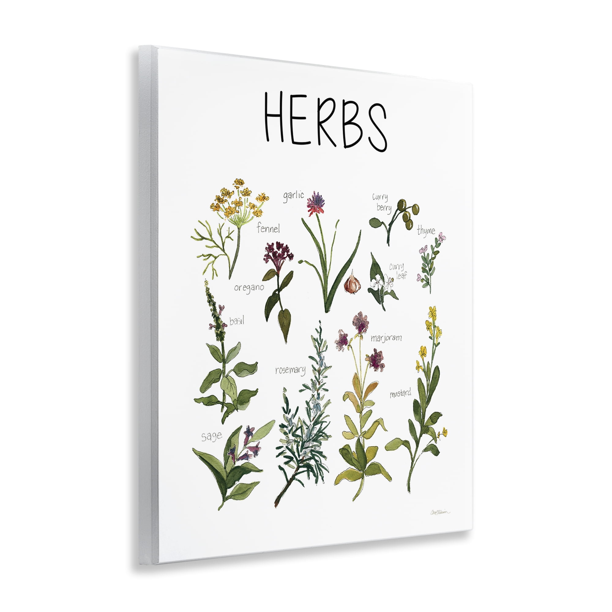 Stupell Industries Herbs Identification Chart Wall Plaque Art, design by Carol Robinson