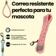 thumbnail image 4 of Correa Para Pasear Mascota Perro Resistente Calidad Premium, 4 of 4