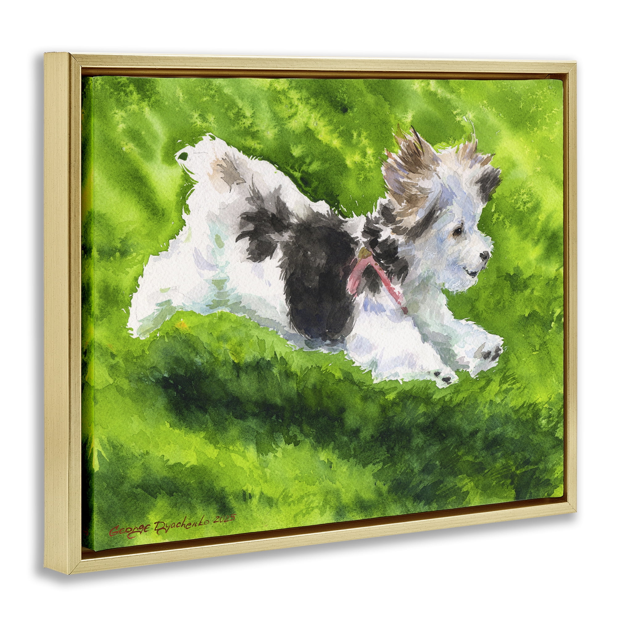 Stupell Industries Happy Maltipoo Running Gold Framed Floater Canvas Wall Art, design by George Dyachenko