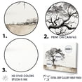 thumbnail image 3 of Designart "Subdued Grey Baobab II" Tree Baobab Wall Art Living Room, 3 of 7