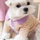 thumbnail image 1 of Stripe Shirts Dog Clothes Sweet Cotton Small Dogs Clothing Pet Outfits Cute Spring Summer Yorkies Blue Boy Ropa Para Perro ShopWise Round, 1 of 9