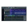 thumbnail image 2 of Software FL Studio 20 Producer Edition con auriculares y hub USB, 2 of 9