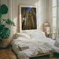 thumbnail image 5 of An Ode to the Aspens - Snowmass Colorado Photography Forest Autumn Nature Woodland Scenic Landscape Mystical Unframed Wall Art Print 24 x 32 inches, 5 of 13