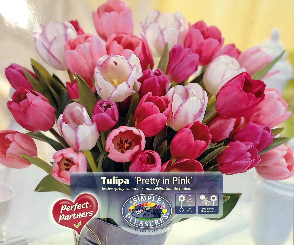 Pretty in Pink Mix Tulip 25 Bulbs Pink & White 12/+ cm Bulbs
