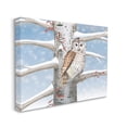 thumbnail image 3 of Stupell Industries Snowy Birch Tree Owl Holiday Painting Gallery Wrapped Canvas Print Wall Art, 3 of 5