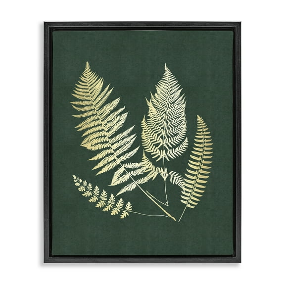 Stupell Industries Gilded Fern Sprigs Plants & Flowers Painting Black Floater Framed Canvas Art Print Wall Art, 17 x 21