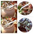 thumbnail image 3 of Greenadscape 1Jgo Kit Completo De Gadgets De Jardinería Con Herramientas Ergonómicas Y Materiales Resistentes, 3 of 6
