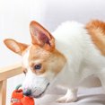 thumbnail image 2 of Rubber Pet Toy Fruit Design Cute Interactive Dog Food Toy Dog Squeaky Toy, 2 of 8