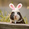 thumbnail image 4 of Serenable Small Animals Hat Headgear Adjustable Hamster Hat for Reptile Lizards Ferret rabbits, 4 of 8