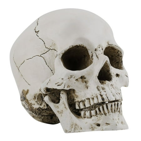 Artificial Human Skull Head Lifelike Resin Full Size Replica Model Skeleton Bone Halloween Decoration For Medicine Teaching
