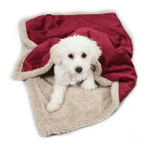 Pawsse Dog Throw Blanket, Pet Blanket, Puppy Cat Dog Fleece Blanket Cushion Mat for Puppy Cat Small Animals, Wine & Tan, 45" X 30".