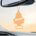 thumbnail image 4 of Little Trees Air Fresheners Peachy Ginger Spritz Scent for Car and Home 24 Pack, 4 of 4