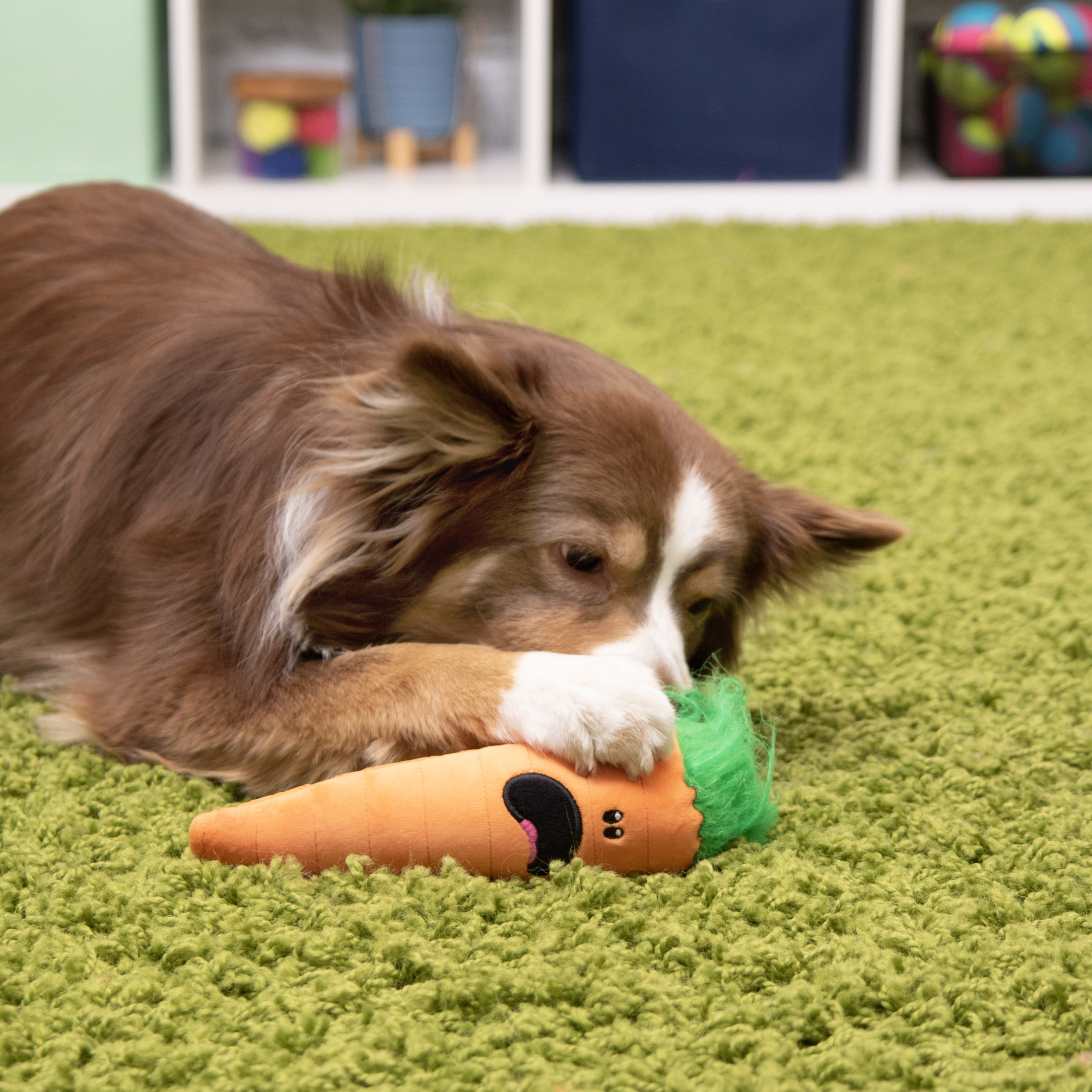 goDog Tough N Texture Carrot Durable Plush & Textured Silicone Squeaky Dog Toy with Chew Guard Technology, Medium, Orange