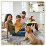 Qunler 5 x 8 Rug for Living Room, Large Washable Shag Rug, Indoor Modern Tie-dye Area Rugs for Bedroom, Rectangle Fluffy Home Carpets, Gray