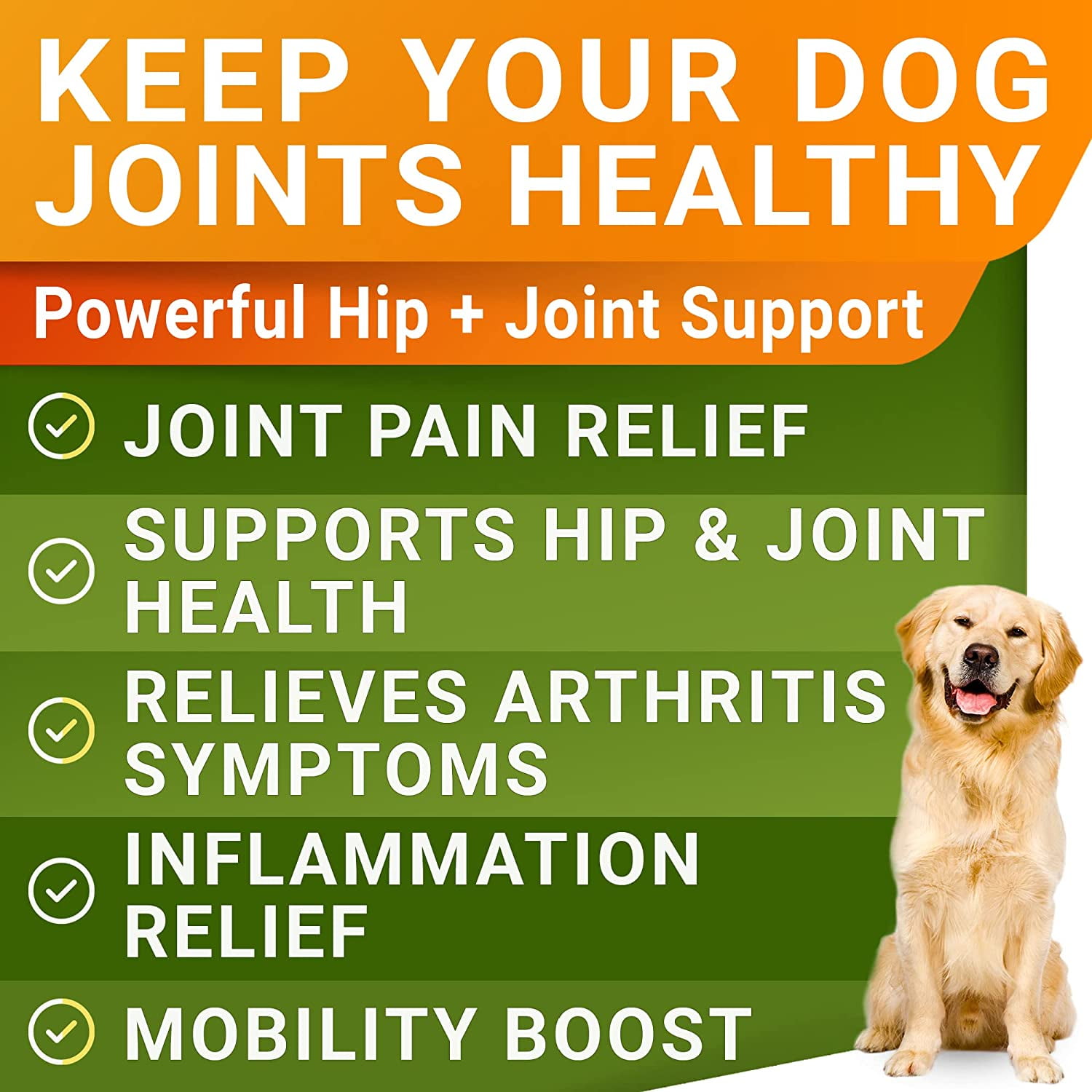 Liquid Glucosamine for Dogs (16 oz) - Joint Supplement w/Chondroitin, MSM, Collagen - Advanced Mobility Formula - Joint Pain Relief - Hip & Joint Care - Easy to Serve Drops - Made in USA