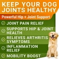 thumbnail image 5 of Liquid Glucosamine for Dogs (16 oz) - Joint Supplement w/Chondroitin, MSM, Collagen - Advanced Mobility Formula - Joint Pain Relief - Hip & Joint Care - Easy to Serve Drops - Made in USA, 5 of 8