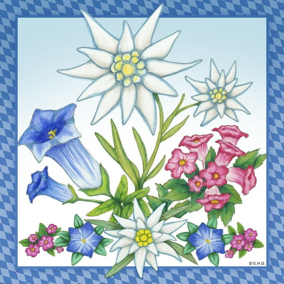 GERM Ceramic Multi-Color‎ Modern Wall Plaque Edelweiss