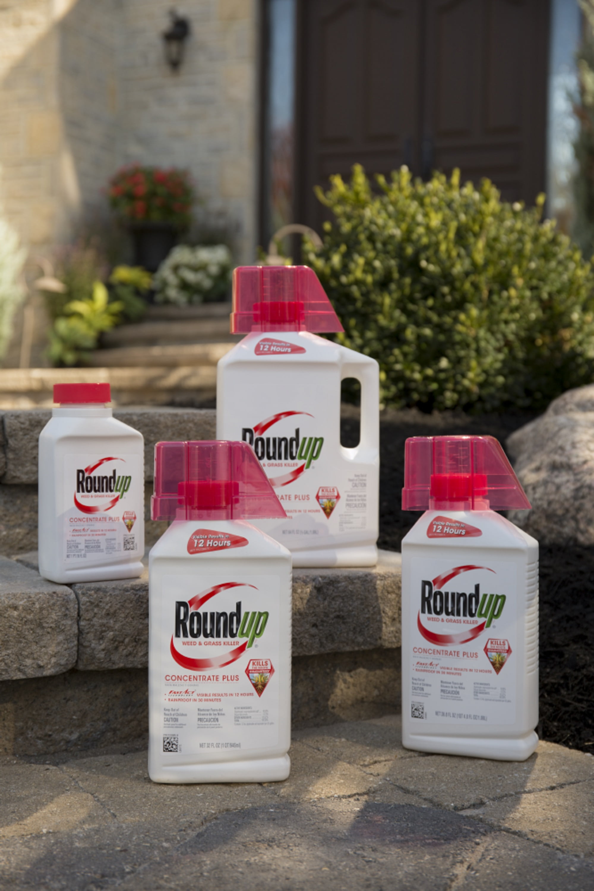 Roundup Pro Concentrate Ratio