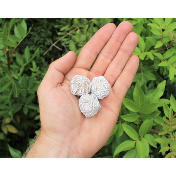 3 Desert Rose Selenite Stones (0.75"- 1.5" Crystal Healing Love Stone) Rock Bud