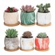 thumbnail image 1 of Bonsai Planter Pot Desktop Flower Pot Bonsai Plant Pot Small Succulent Pots Round Planter Pot, 1 of 3