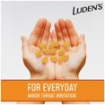 Luden's Soothing Throat Drops, Wild Honey, 30 ct (Pack of 1)
