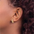 thumbnail image 3 of 14K Yellow & Rhodium Hinged Post Earrings (Width 10.9) (Length 12.6) - Jbsp, 3 of 5