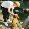 thumbnail image 6 of KMWGRE Stylish Solid Knit Pullover Sweater for Small Breed Dogs Cozy Autumn Winter Soft Pet Apparel Yellow XL, 6 of 7