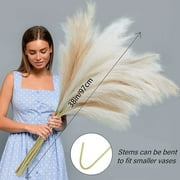 Scidweet 8Pcs Faux Pampas Grass, 38/3.1FT Tall Artificial Fake Pampas Grass Floral for Home Floor Vase Boho Farmhouse Wedding Decor (Cream/Beige)